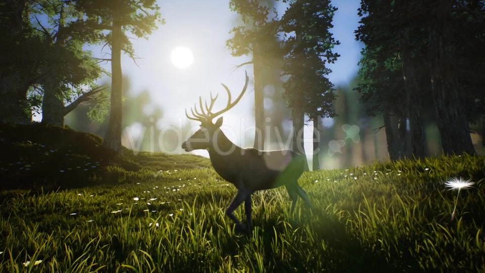 Lonely Deer Videohive 20746388 Motion Graphics Image 4
