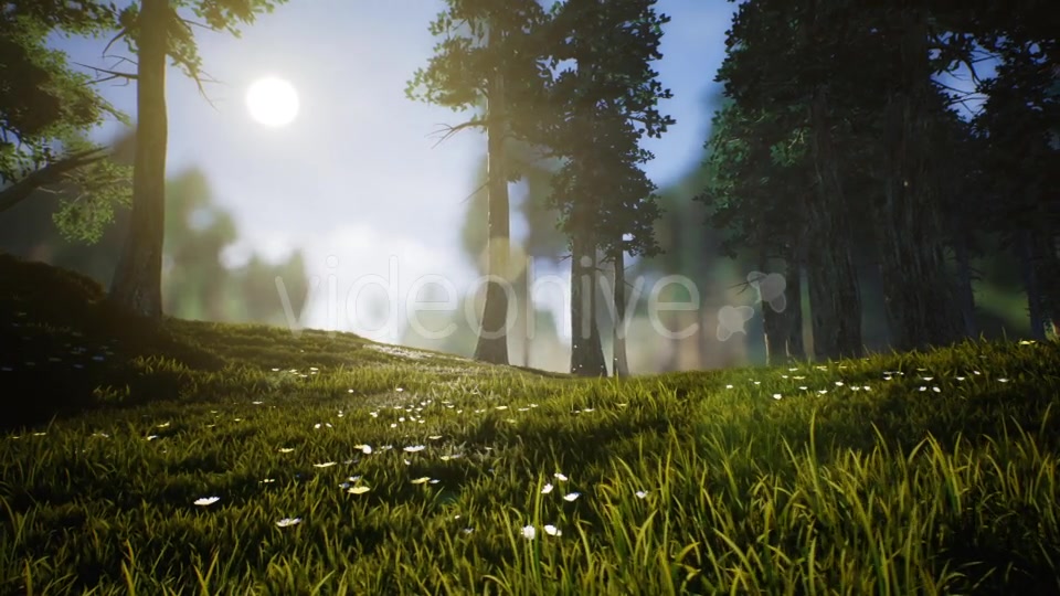 Lonely Deer Videohive 20746388 Motion Graphics Image 6