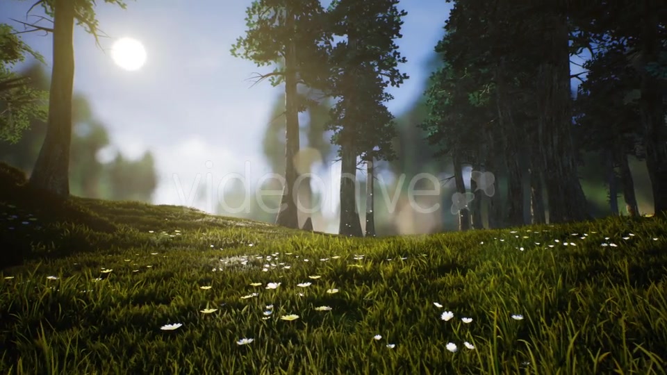 Lonely Deer Videohive 20746388 Motion Graphics Image 7