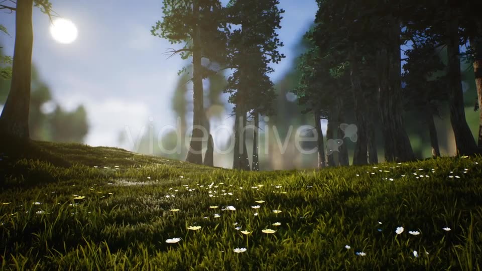 Lonely Deer Videohive 20746388 Motion Graphics Image 8