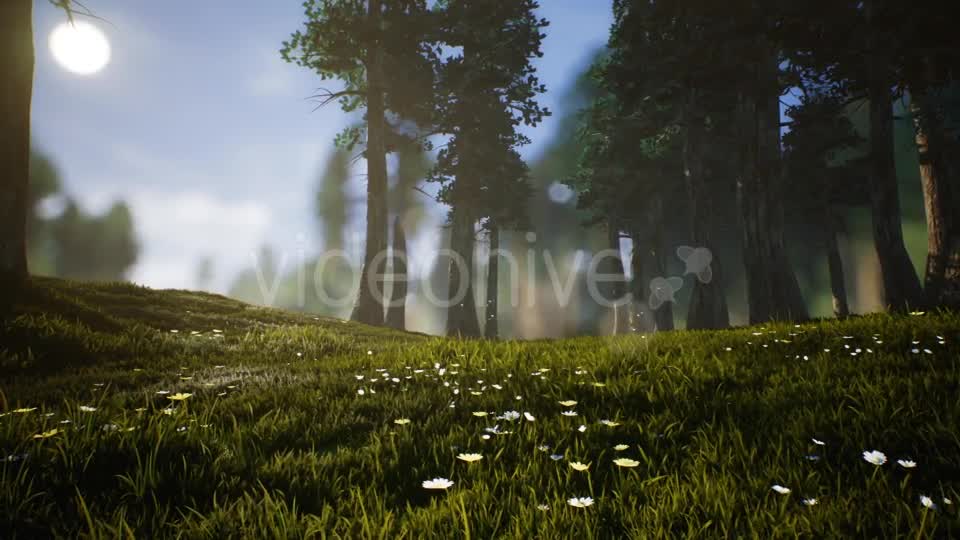 Lonely Deer Videohive 20746388 Motion Graphics Image 9