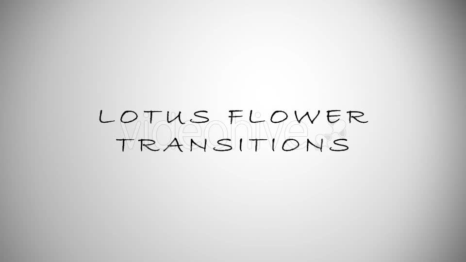 Lotus Flower Transition Videohive 15883384 Motion Graphics Image 1