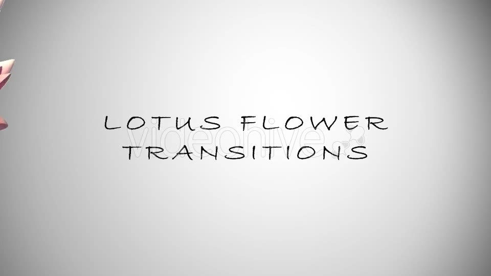 Lotus Flower Transition Videohive 15883384 Motion Graphics Image 2