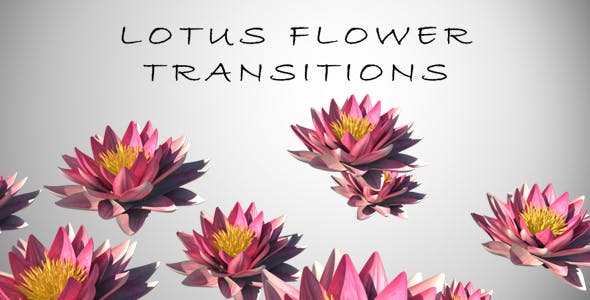 Lotus Flower Transition - 15883384 Videohive Download