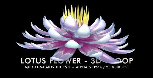 Lotus Flower - Videohive Download 6520551