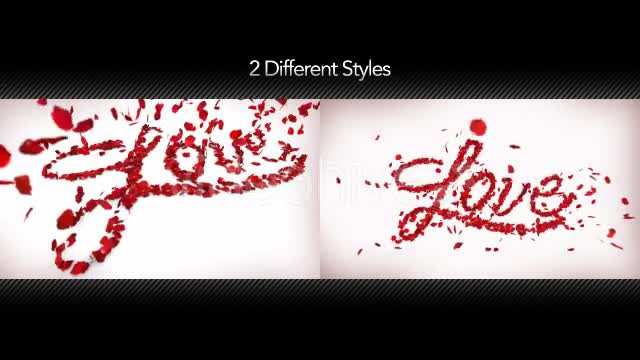 Love in Rose Petals Videohive 14368700 Motion Graphics Image 1