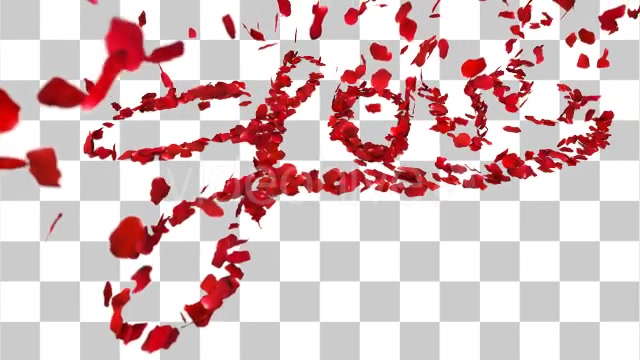 Love in Rose Petals Videohive 14368700 Motion Graphics Image 11