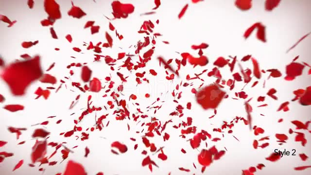 Love in Rose Petals Videohive 14368700 Motion Graphics Image 2