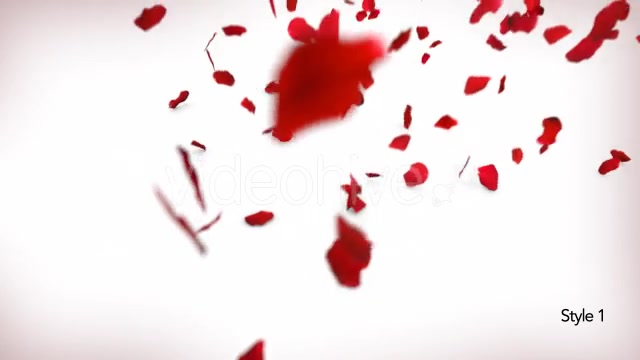 Love in Rose Petals Videohive 14368700 Motion Graphics Image 4