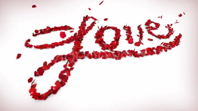 Love in Rose Petals Videohive 14368700 Motion Graphics Image 6