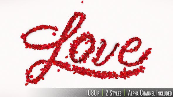 Love in Rose Petals - Download 14368700 Videohive
