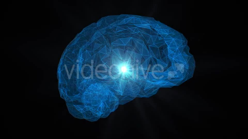 Low Poly Brain Loop Background Videohive 21413868 Motion Graphics Image 1