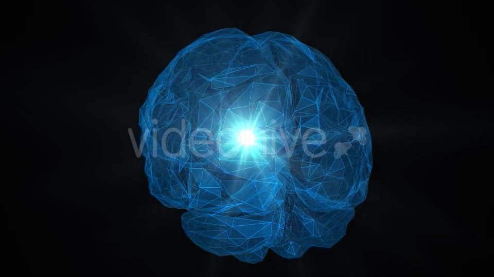 Low Poly Brain Loop Background Videohive 21413868 Motion Graphics Image 4