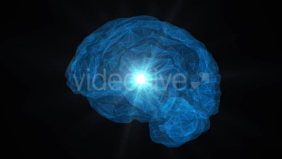 Low Poly Brain Loop Background Videohive 21413868 Motion Graphics Image 5