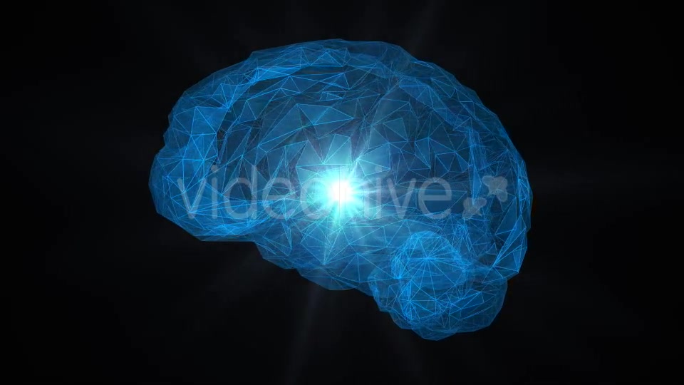 Low Poly Brain Loop Background Videohive 21413868 Motion Graphics Image 6