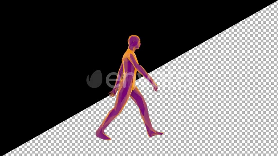 Low Poly Man Walking Videohive 22115071 Motion Graphics Image 4