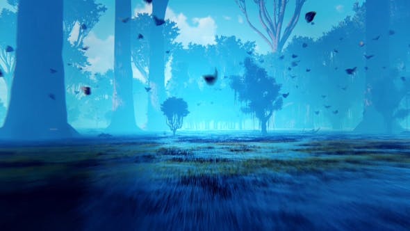 Magic Forest - Download 21477906 Videohive