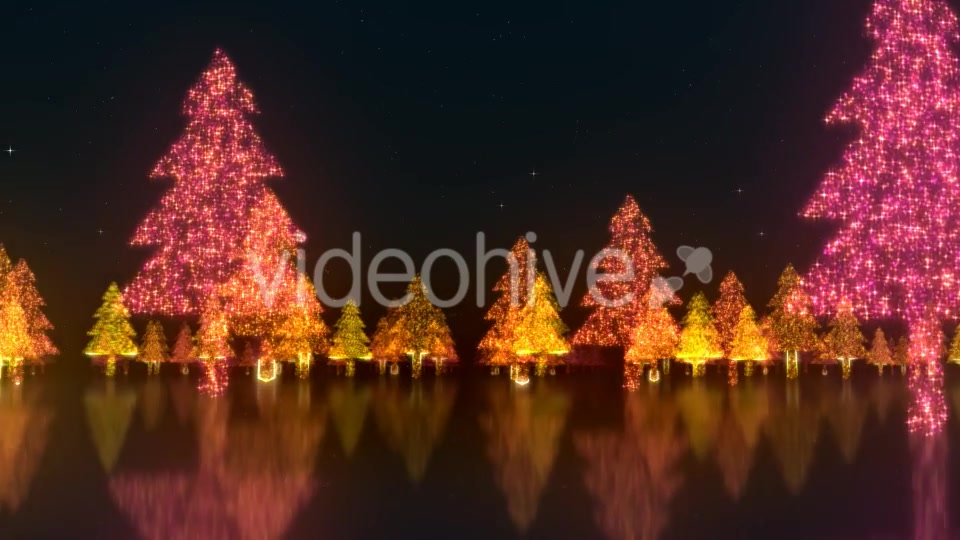 Magical Forest Videohive 21078442 Motion Graphics Image 3
