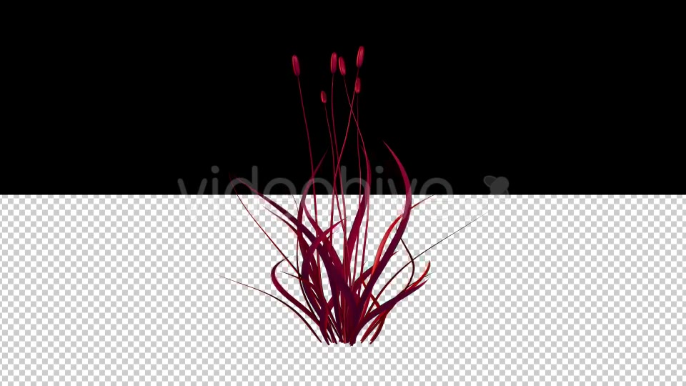 Magical Red Flower Dancing in the Wind Videohive 19913251 Motion Graphics Image 3