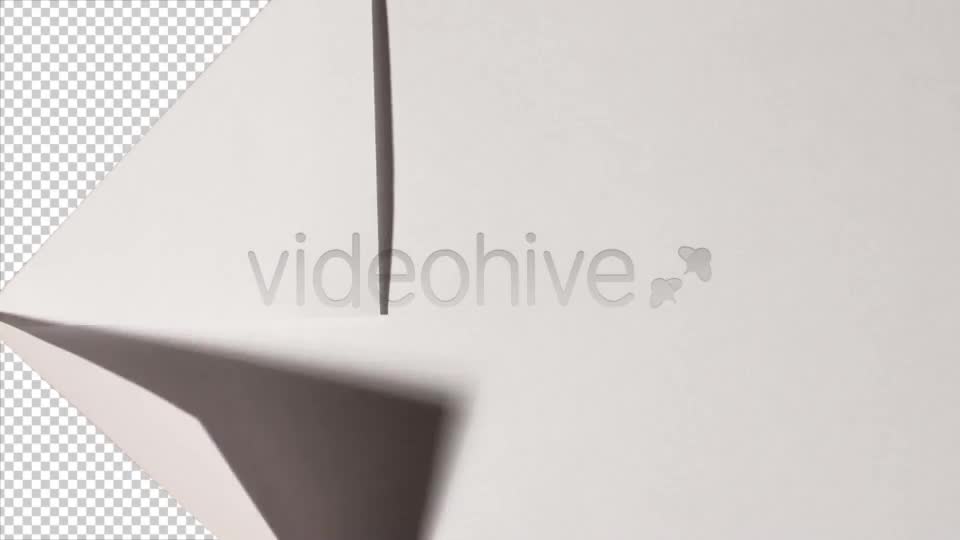 Making Paper Plane Videohive 8042402 Motion Graphics Image 1