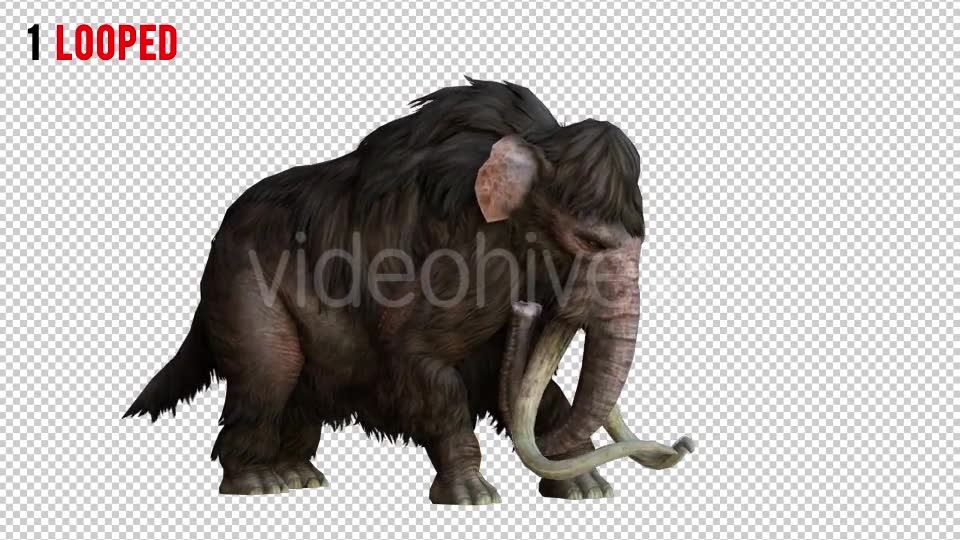 Mammoth 1 Realistic Pack 2 Videohive 21076755 Motion Graphics Image 2