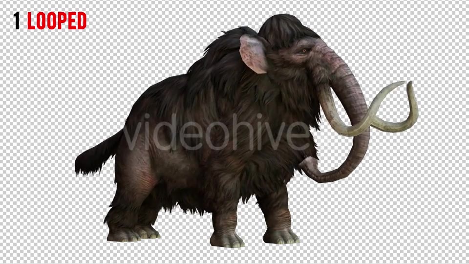 Mammoth 1 Realistic Pack 2 Videohive 21076755 Motion Graphics Image 3