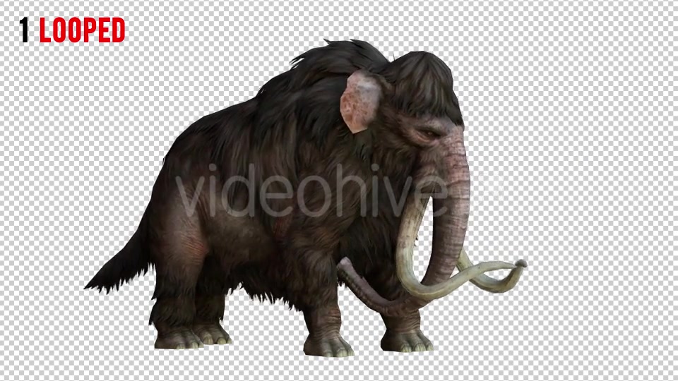 Mammoth 1 Realistic Pack 2 Videohive 21076755 Motion Graphics Image 4