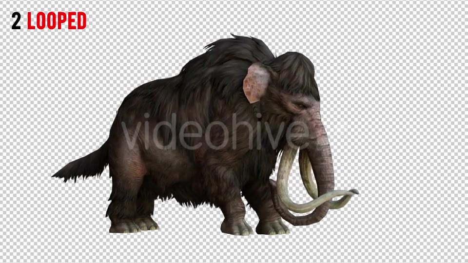 Mammoth 1 Realistic Pack 2 Videohive 21076755 Motion Graphics Image 5