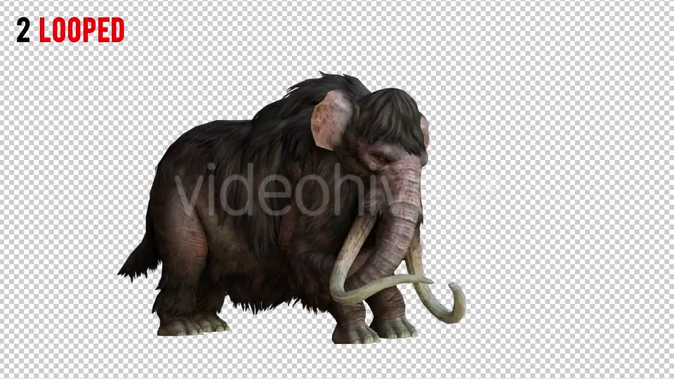 Mammoth 1 Realistic Pack 2 Videohive 21076755 Motion Graphics Image 6