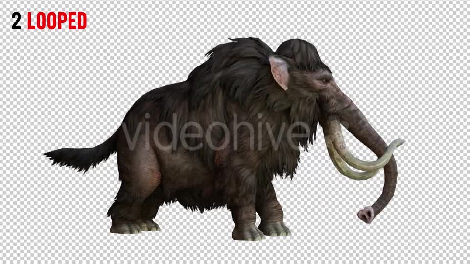 Mammoth 1 Realistic Pack 2 Videohive 21076755 Motion Graphics Image 7
