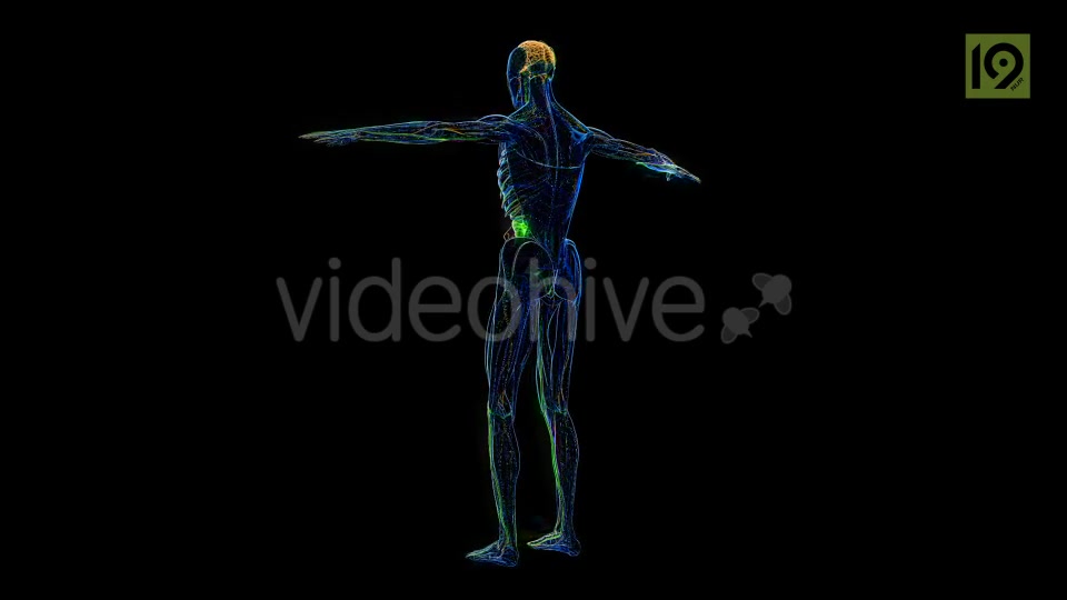 Man 360 Videohive 20420857 Motion Graphics Image 2