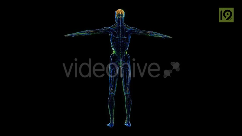 Man 360 Videohive 20420857 Motion Graphics Image 3