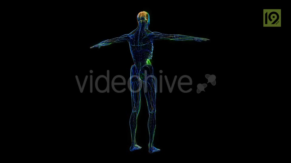 Man 360 Videohive 20420857 Motion Graphics Image 4
