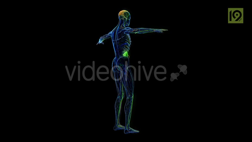 Man 360 Videohive 20420857 Motion Graphics Image 5
