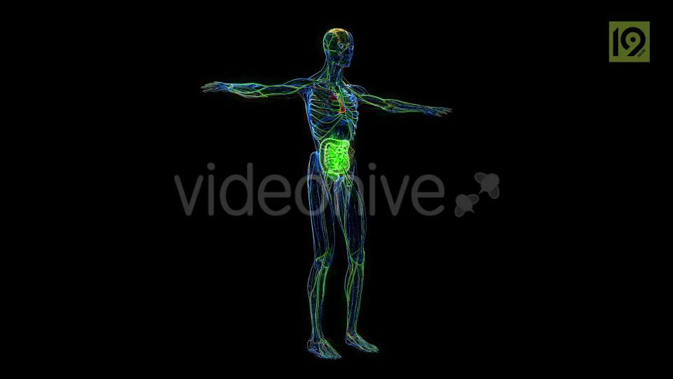 Man 360 Videohive 20420857 Motion Graphics Image 8