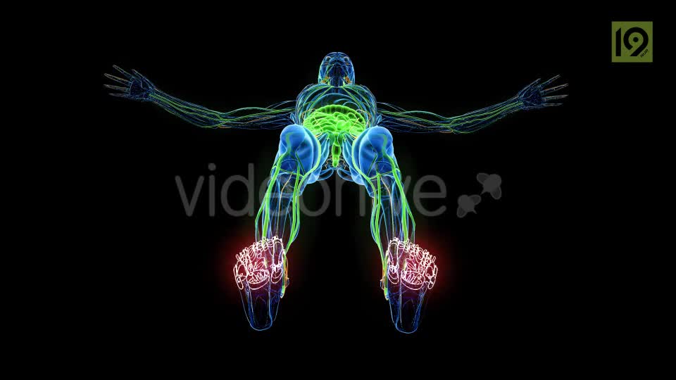 Man In MRI Scanner Videohive 20420781 Motion Graphics Image 1