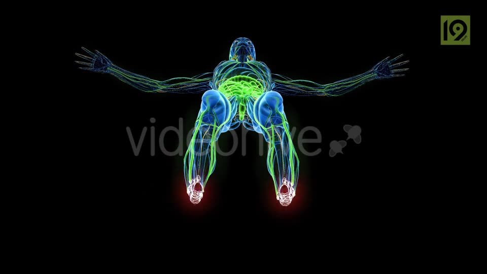 Man In MRI Scanner Videohive 20420781 Motion Graphics Image 2
