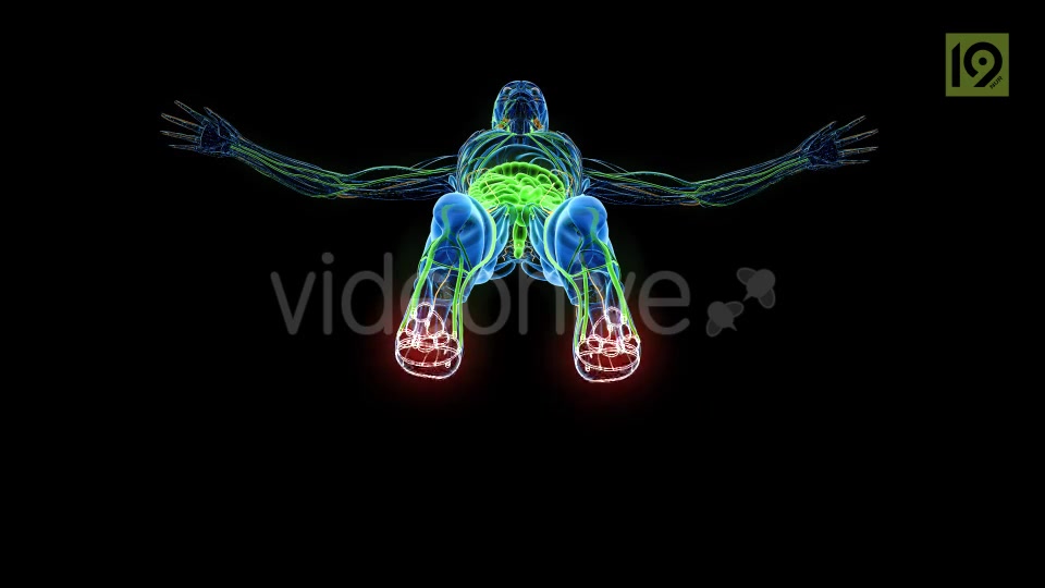 Man In MRI Scanner Videohive 20420781 Motion Graphics Image 3