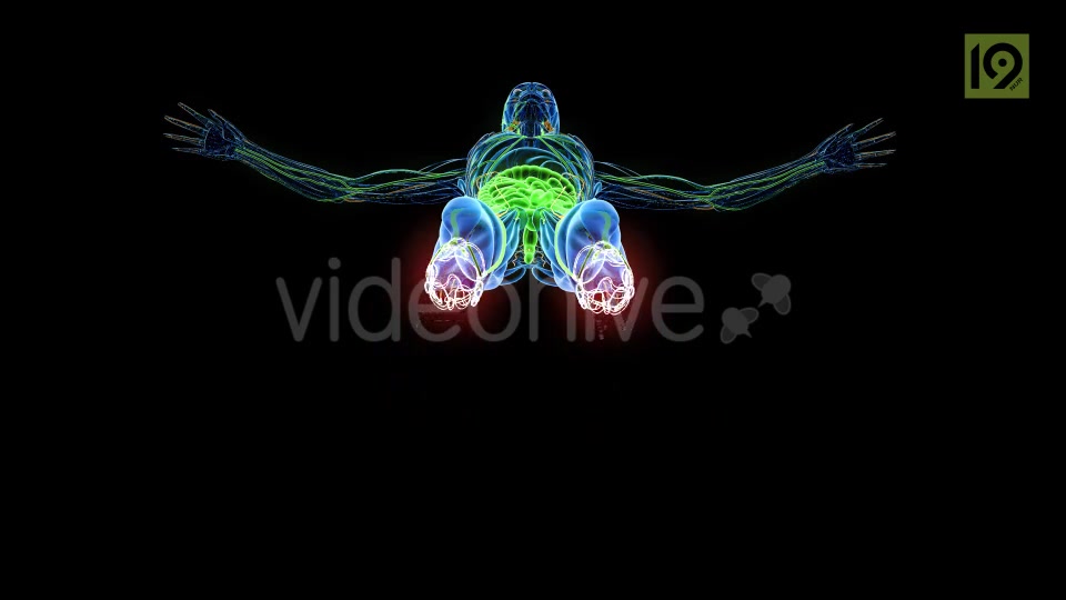 Man In MRI Scanner Videohive 20420781 Motion Graphics Image 4