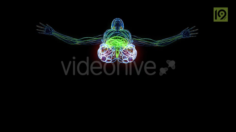 Man In MRI Scanner Videohive 20420781 Motion Graphics Image 6
