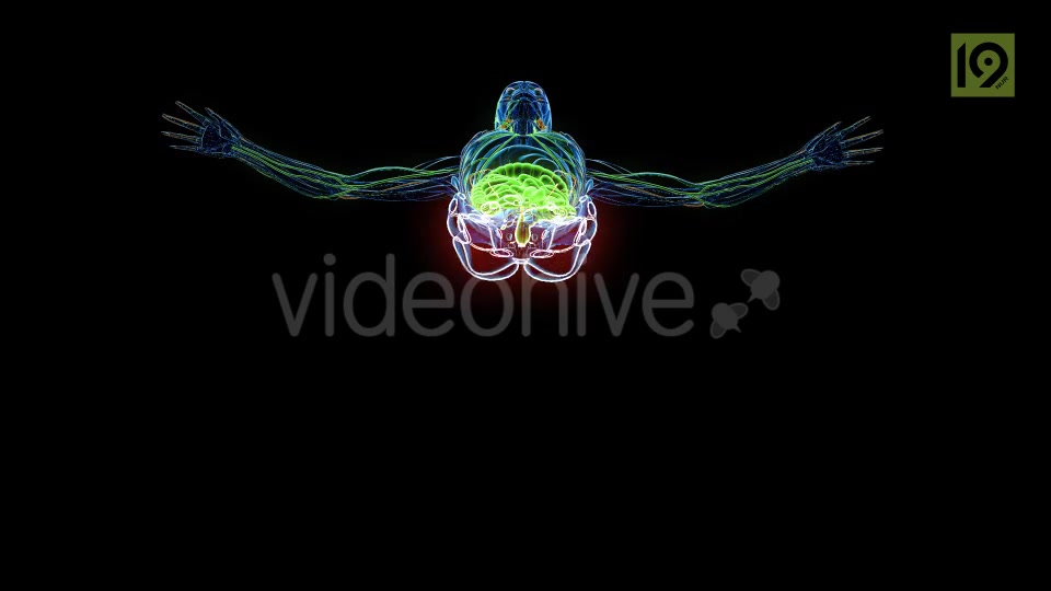Man In MRI Scanner Videohive 20420781 Motion Graphics Image 7