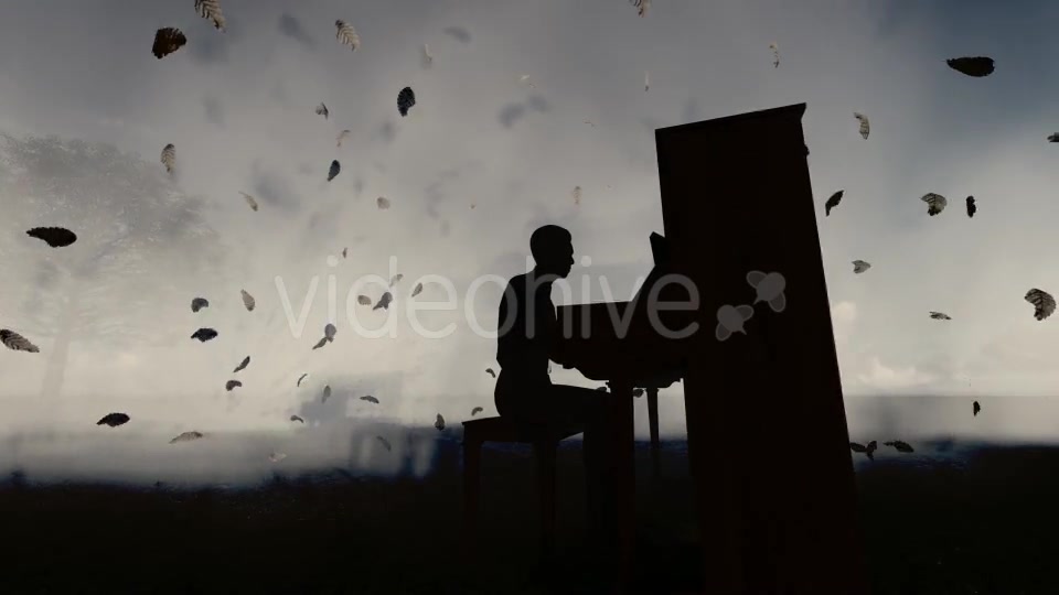 Man Piano Playing Videohive 19832530 Motion Graphics Image 3