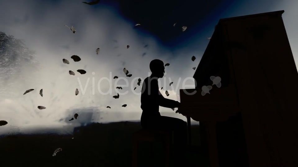 Man Piano Playing Videohive 19832530 Motion Graphics Image 5
