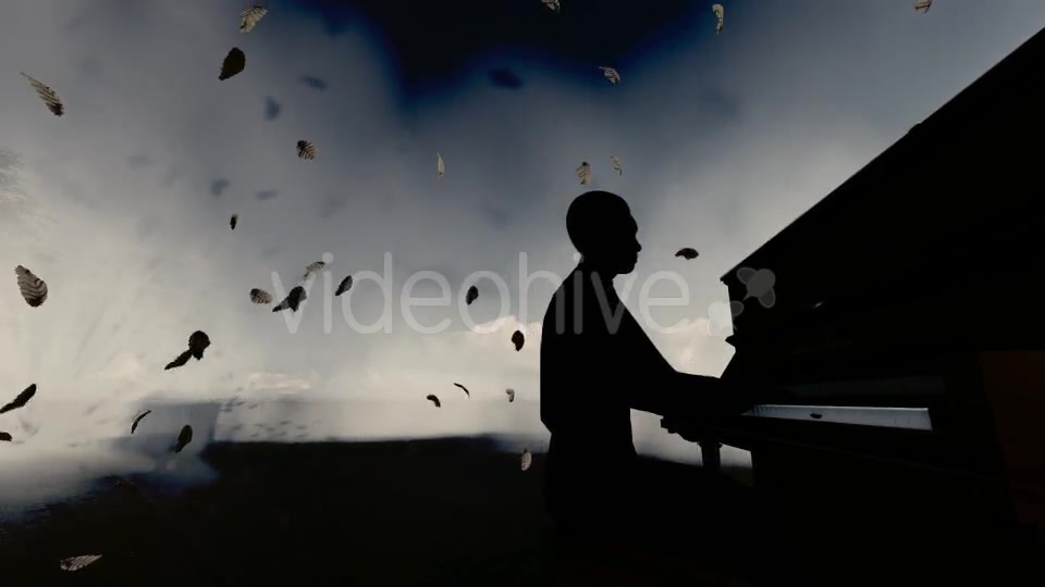 Man Piano Playing Videohive 19832530 Motion Graphics Image 8