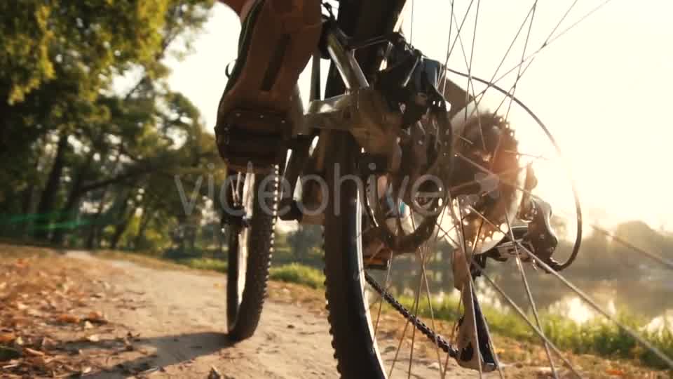 Man Rides a Bike Near Lake  Videohive 17910774 Stock Footage Image 10