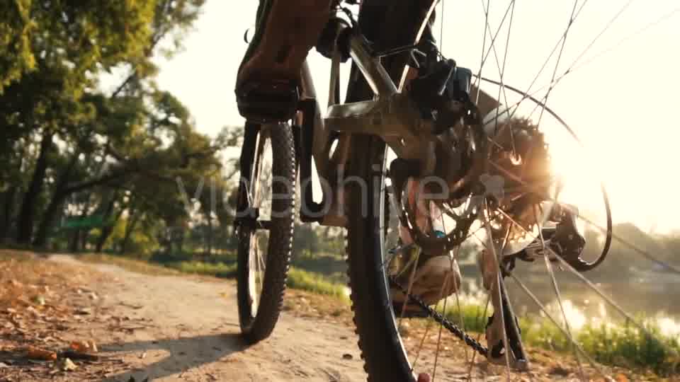 Man Rides a Bike Near Lake  Videohive 17910774 Stock Footage Image 11