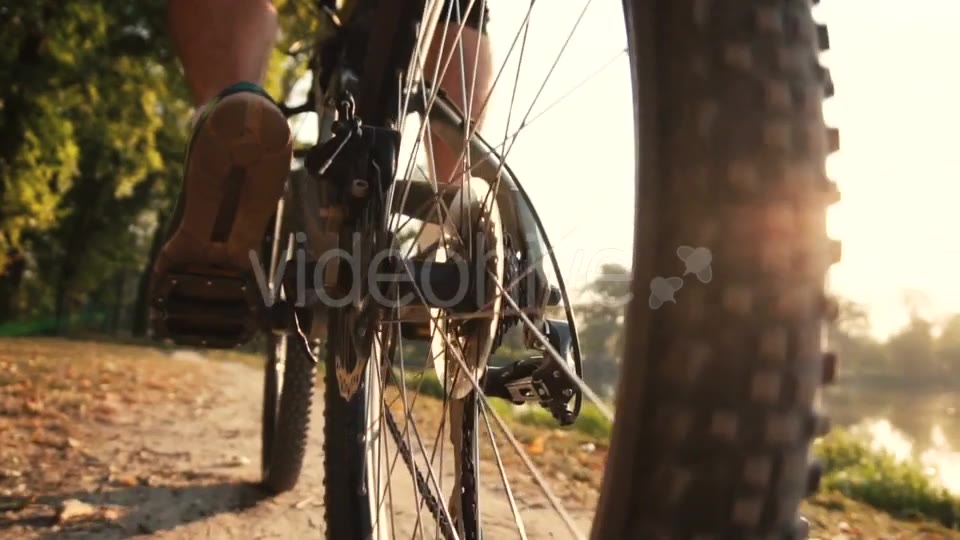 Man Rides a Bike Near Lake  Videohive 17910774 Stock Footage Image 3