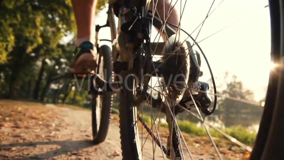 Man Rides a Bike Near Lake  Videohive 17910774 Stock Footage Image 6
