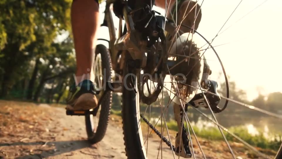 Man Rides a Bike Near Lake  Videohive 17910774 Stock Footage Image 7