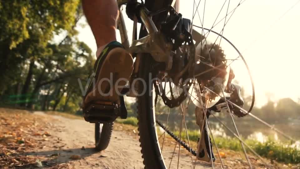 Man Rides a Bike Near Lake  Videohive 17910774 Stock Footage Image 9